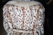 Шубка леопард р.46-48-50 фирменная, привезена из Турции, с песцовым в фото № 3