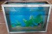 Продам аквариум на 11 литров .в отличном рабочем состоянии из нержаве фото № 2