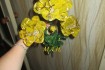 Желтая лилия из рубки. Высота цветка 58 см фото № 1