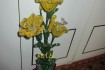 Желтая лилия из рубки. Высота цветка 58 см фото № 2