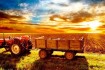 Справочник Сельхозпроизводителей Украины
Производители: зерновых, бо фото № 1