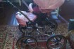 Продам детскую коляску ADAMEX 2в1.
В комплект входит: чехлы для лежа фото № 1