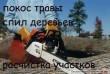 Уборка расчистка участка ,территории ,вывоз мусора, спил покос Одесса