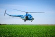 Авиахимобработка пшеницы вертолетом дельтапланом