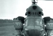 Удобрення озимого ріпаку вертольотом