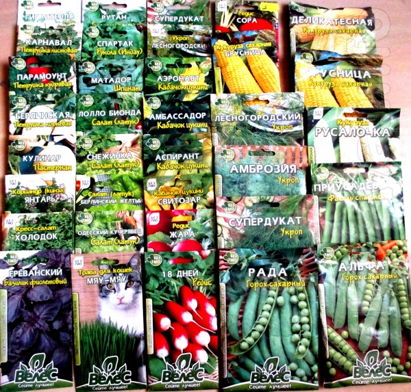 Продаю семена зелени и пряных растений ТМ Велес по розничным ценам. С