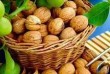 Продам очищенный грецкий орех 5 кг - 650 грн
Oрех урожай 2020 года.