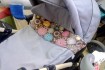 Детский комиссионный принимает  и продает детские коляски
Лисичанск к фото № 2