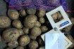 Агропідприємство реалізує картоплю товарну і картоплю насіннєву власн фото № 3