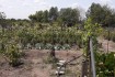 Продам участок приватизированной земли в 10 соток в поселке Сиротино  фото № 1