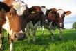 Компания Вита-Ко, учитывая актуальный сегодня вопрос безопасности кор