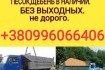 Вывоз мусора самосвалом грузовыми машинами газель маз зил камаз погру фото № 1