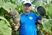 Крупноплодный сорт подсолнечника СПК с урожайностью выше 30 центнер с фото № 2
