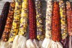Вашему вниманию оригинальные семена сортовой кукурузы в различных цве фото № 1