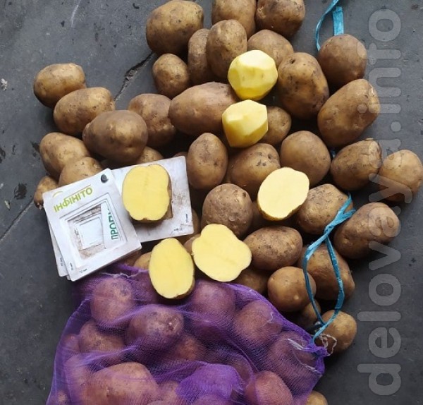 Продам картоплю від виробника власного виробництва ТОВАРНА і НАСІННЕВ