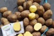 Картофель от производителя продам с овощехранилища