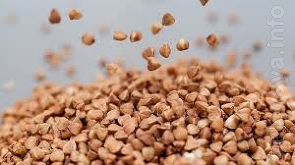 Зерно гречки нового врожаю від виробника.
Готівковий та безготівковий