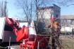 Спиливание деревьев любой сложности по всей Одессе и многим пригорода фото № 4