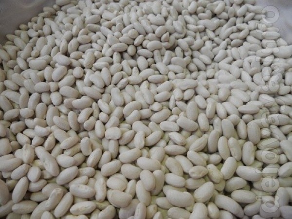 Компанія ТОВ Бінс Натурпродукт пропонує на продаж насіння білої дрібн