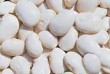 ТОВ Бінс Натурпродукт пропонує на продаж насіння дрібної білої квасол