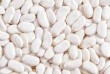 Компанія Бінс Натурпродукт продає насіння квасолі білої дрібної.
В на