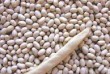 ТОВ Бінс Натурпродукт пропонує на продаж насіння дрібної білої квасол
