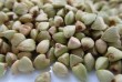 ТОВ Бінс Натурпродукт продає оптом від 5 тонн якісне насіння гречки.
