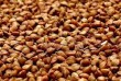 Продам насіння гречки (мін. 5 тонн)