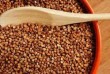 Продаж зерна гречки оптом від 5 тонн