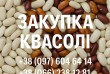Компанія постійно закуповує квасолю білих та кольорових сортів у вели