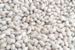 Українська компанія ТОВ Бінс Натур Продукт реалізує високоякісну квас