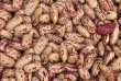 Сортова квасоля від ТОВ Бінс Натур Продукт. Мінімальний обсяг замовле