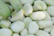 Пропонуємо насіння квасолі різних сортів: Неві Бінс( біла дрібна), Че