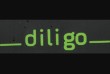 Фірма Diligo Korycinski sp.k. запрошує на роботу у Польщу водіїв, які
