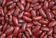 Компанія Бінс Натурпродукт реалізує сортову квасолю оптом — понад 20 