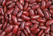 ТОВ «Бінс Натурпродукт» здійснює оптовий продаж квасолі власного виро