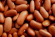ТОВ Бінс Натурпродукт продає квасолю сортів  Чалі, Біла довга, Томатк