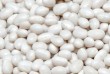 Квасоля гуртовими партіями від компанії ТОВ Бінс Натурпродукт. Співпр