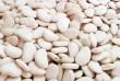 Продаж високоякісної сортової квасолі , який включає понад 20 сортів: