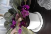 Продам сортовые фиалки разных расцветок! есть укоренённые листики-10г фото № 3